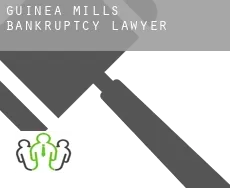 Guinea Mills  bankruptcy lawyer