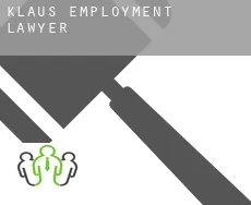 Klaus  employment lawyer