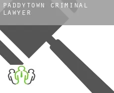 Paddytown  criminal lawyer