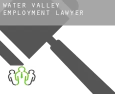 Water Valley  employment lawyer