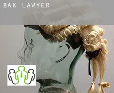Bak  lawyer