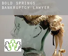 Bold Springs  bankruptcy lawyer