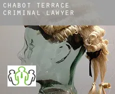 Chabot Terrace  criminal lawyer