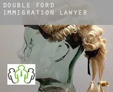 Double Ford  immigration lawyer
