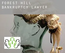 Forest Hill  bankruptcy lawyer