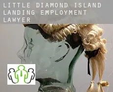 Little Diamond Island Landing  employment lawyer