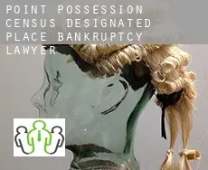 Point Possession  bankruptcy lawyer