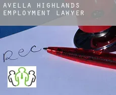 Avella Highlands  employment lawyer