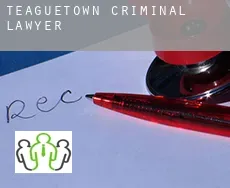 Teaguetown  criminal lawyer