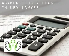 Agamenticus Village  injury lawyer