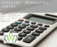 Lakeside bankruptcy lawyer