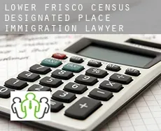 Lower Frisco  immigration lawyer