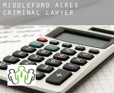 Middleford Acres  criminal lawyer