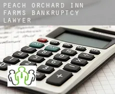 Peach Orchard Inn Farms  bankruptcy lawyer