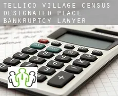 Tellico Village  bankruptcy lawyer
