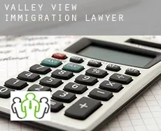 Valley View immigration lawyer