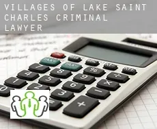 Villages of Lake Saint Charles  criminal lawyer