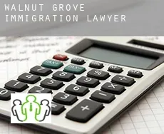 Walnut Grove  immigration lawyer