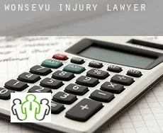 Wonsevu  injury lawyer