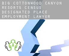 Big Cottonwood Canyon Resorts  employment lawyer