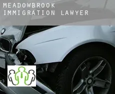 Meadowbrook  immigration lawyer