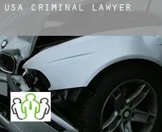 USA  criminal lawyer