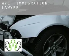 Wye  immigration lawyer