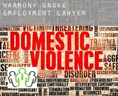 Harmony Grove  employment lawyer
