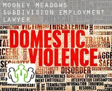 Mooney Meadows Subdivision employment lawyer