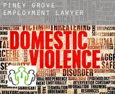 Piney Grove  employment lawyer